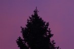 DSC02387 -