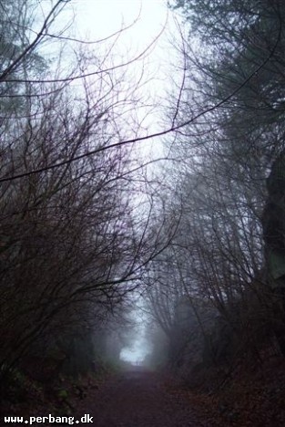 Xmas walk 027 -