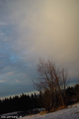 DSC02498 -