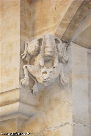 Cambridge 019 -