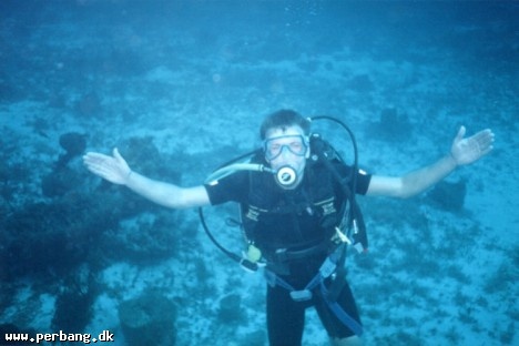 31a - Huge in cold water -