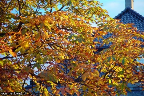 DSC02372 -