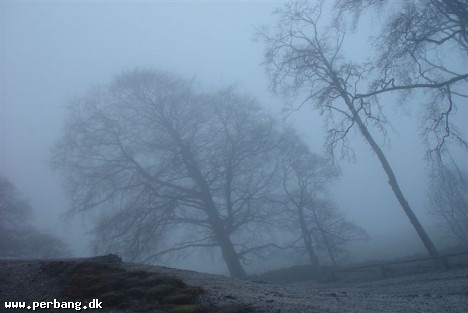 Xmas walk 012 -