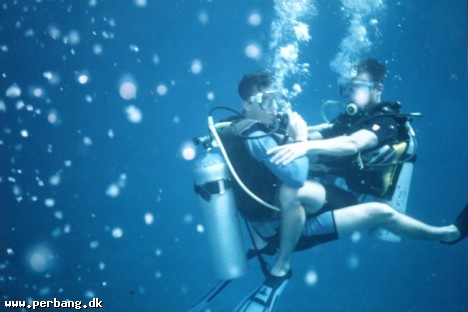 37 - Have no clue about what they are doing -