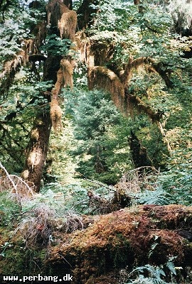 1 -