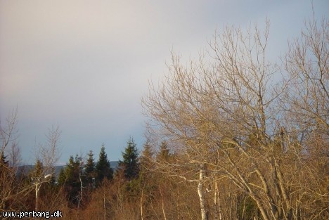DSC02500 -