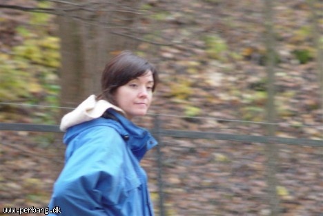 DSC02376 -