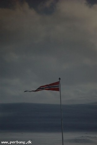Windy -