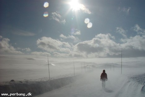 Walking and disappearing 3 -
