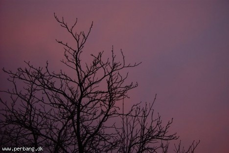 DSC02386 -