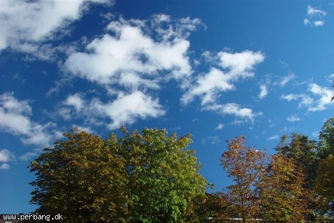 DSC02361 -