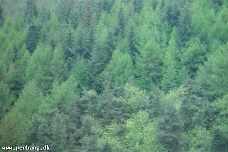 DSC02172 -