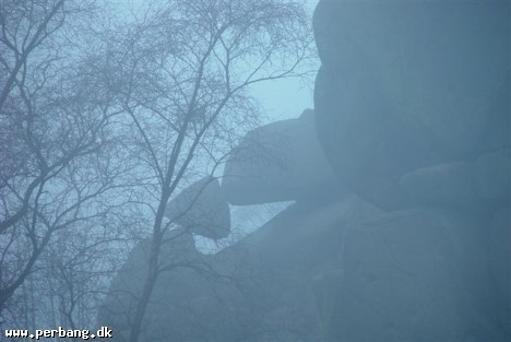 Xmas walk 009 -