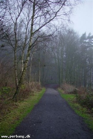 Xmas walk 016 -