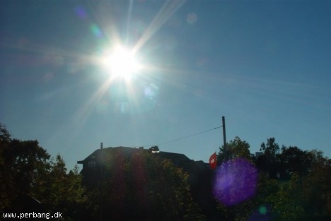DSC02364 -