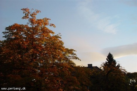 DSC02356 -