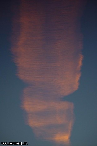 DSC02510 -