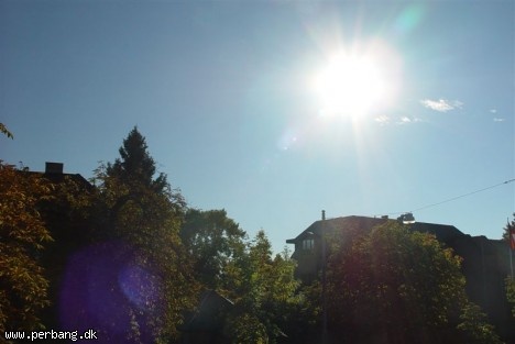 DSC02363 -