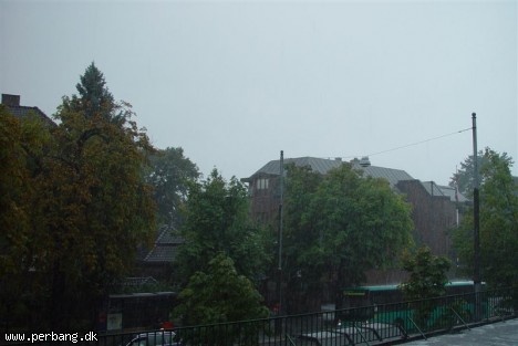 DSC02353 -