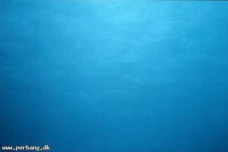 27a - big blue II -
