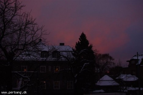 DSC02384 -