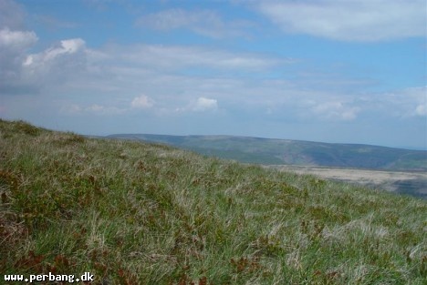 DSC02138 -