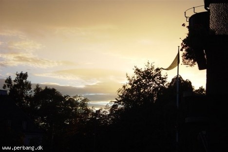 DSC02355 -