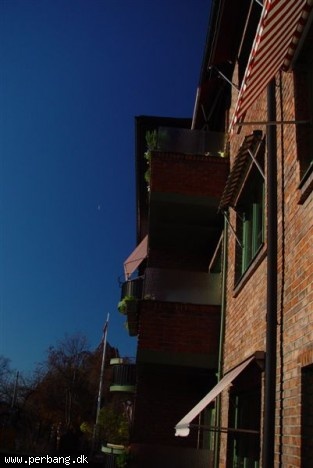 DSC02383 -