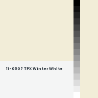 Color chip: 11-0507 TPX Winter White