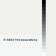 Color chip: 11-0602 TPX Snow White