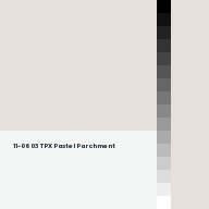 Color chip: 11-0603 TPX Pastel Parchment