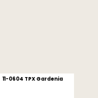 Color chip: 11-0604 TPX Gardenia