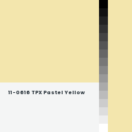Color chip: 11-0616 TPX Pastel Yellow