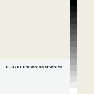 Color chip: 11-0701 TPX Whisper White