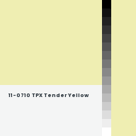Color chip: 11-0710 TPX Tender Yellow