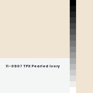 Color chip: 11-0907 TPX Pearled Ivory