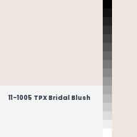 Color chip: 11-1005 TPX Bridal Blush