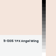 Color chip: 11-1305 TPX Angel Wing
