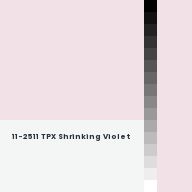 Color chip: 11-2511 TPX Shrinking Violet