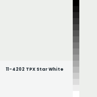 Color chip: 11-4202 TPX Star White