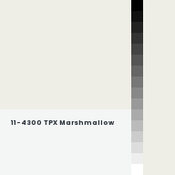 Color chip: 11-4300 TPX Marshmallow