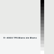 Color chip: 11-4800 TPX Blanc de Blanc