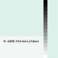 Color chip: 11-4805 TPX Hint of Mint
