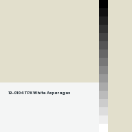 Color chip: 12-0104 TPX White Asparagus