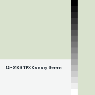 Color chip: 12-0108 TPX Canary Green