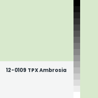 Color chip: 12-0109 TPX Ambrosia