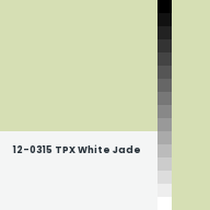 Color chip: 12-0315 TPX White Jade