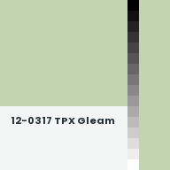 Color chip: 12-0317 TPX Gleam