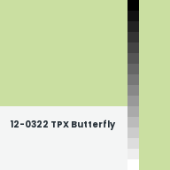 Color chip: 12-0322 TPX Butterfly