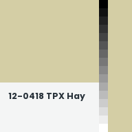 Color chip: 12-0418 TPX Hay